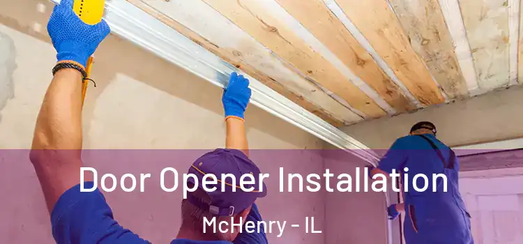  Door Opener Installation McHenry - IL