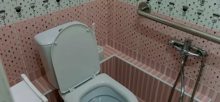 Meeting Diverse Needs With Accessible Restroom Solutions in McHenry, IL